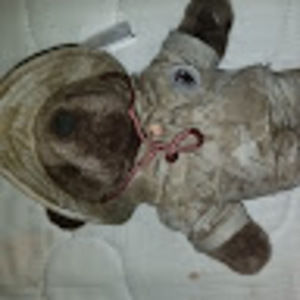 Meet your Posher, Jerry